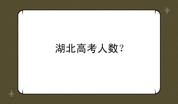 湖北高考人数？