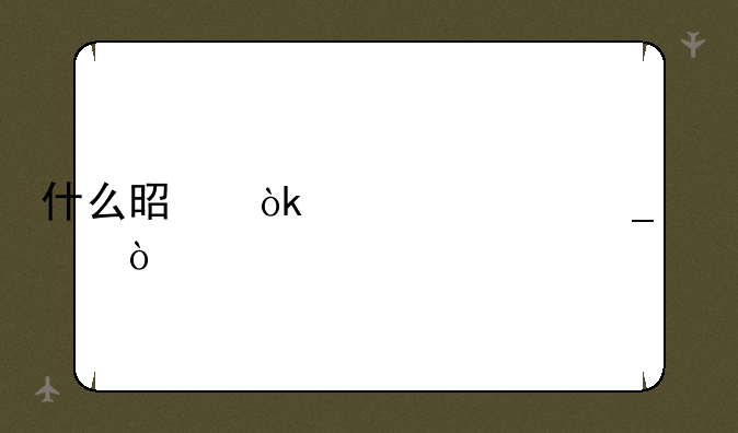 什么是会计上岗证？