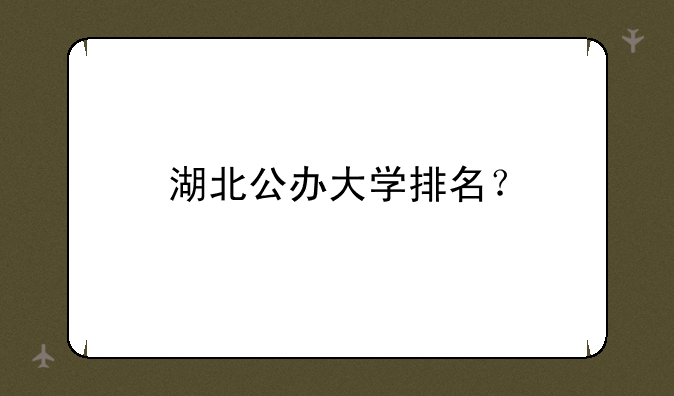 湖北公办大学排名？