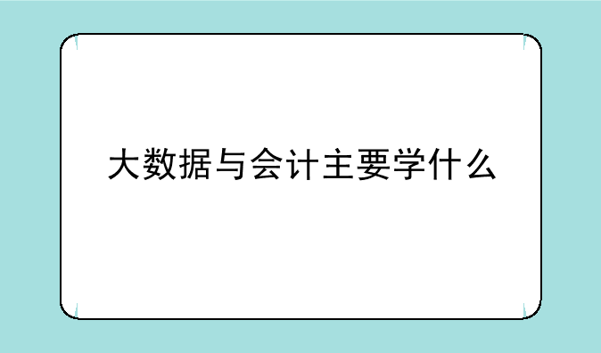 大数据与会计主要学什么