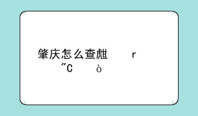 肇庆怎么查生地中考成绩？